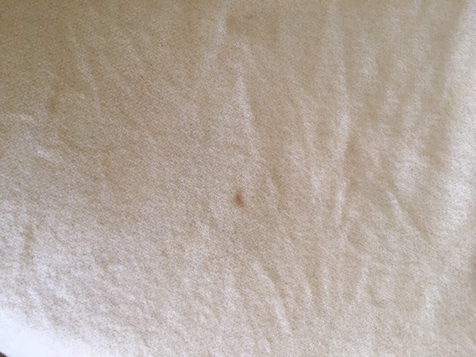 Large Bone White Colored Fabriault Woolen Mills Blanket 100% Virgin Wool 87