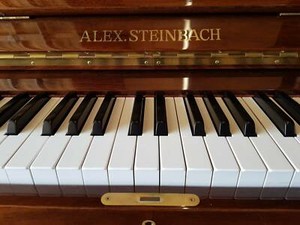 Alex steinbach piano serial number lookup