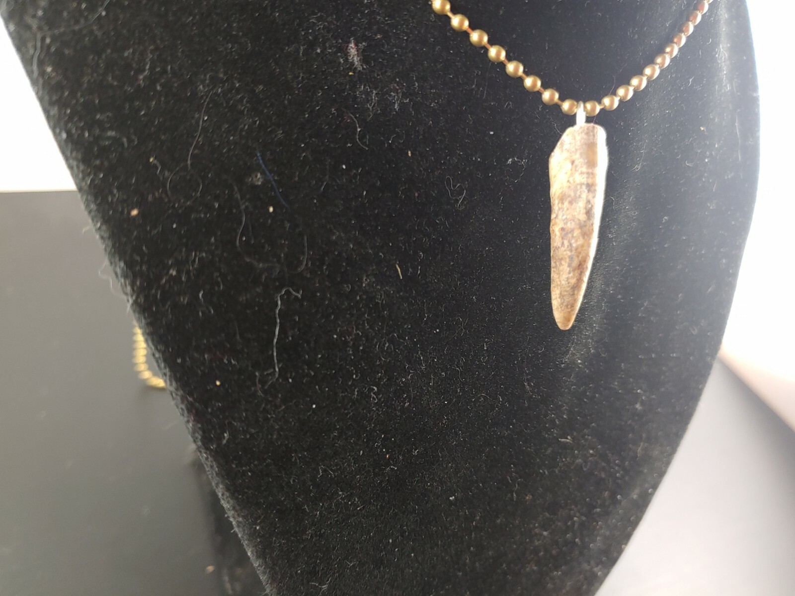 Alligator jewelry necklace 1" to 2"  nails real gator toe necklace weird