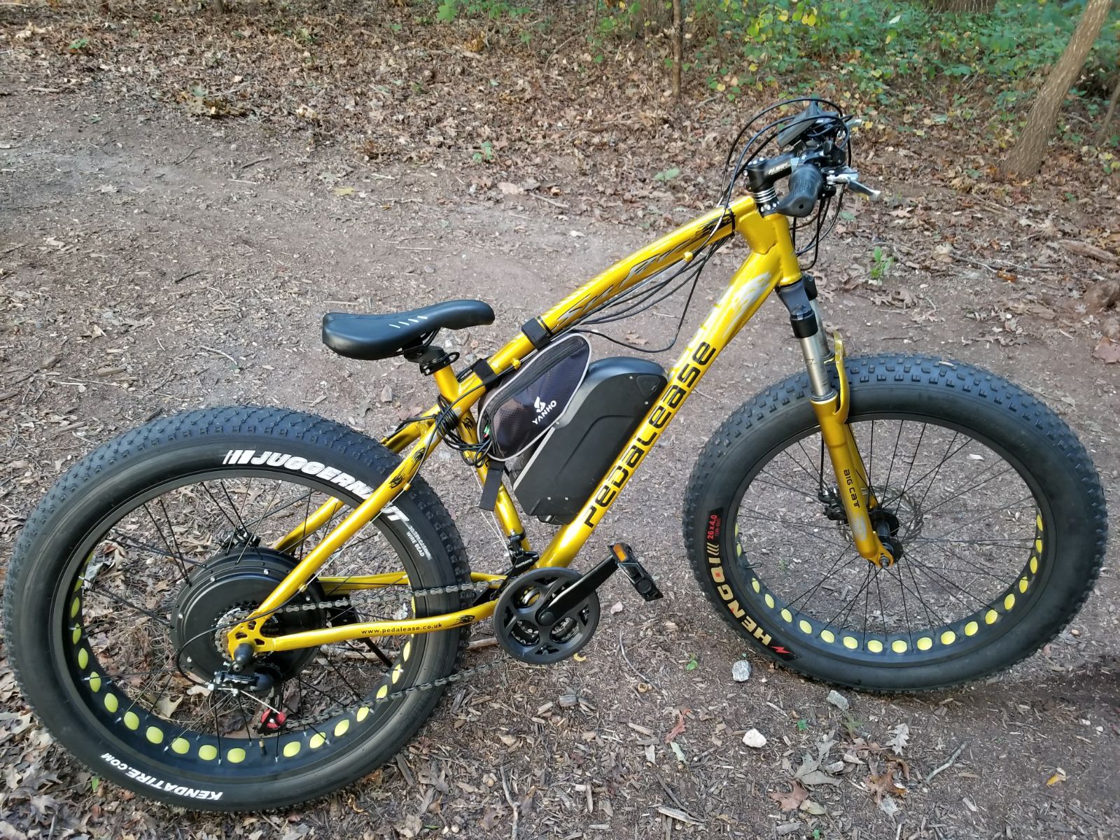 pedalease fat bike 1500w