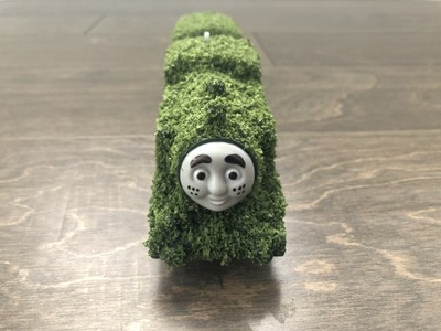 trackmaster tom moss