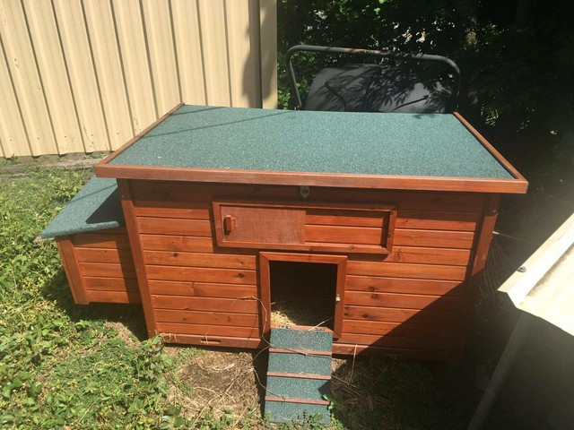 Download Laying Chickens complete with accessories | Birds ...