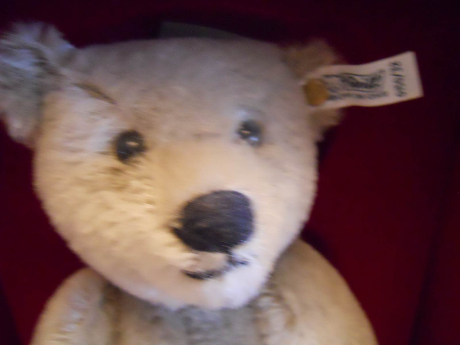 Vintage Original Steiff Teddy Bear in the original Box