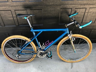 raleigh pursuit tandem