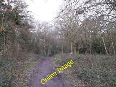 Photo 6x4 Scio Ride, Putney Heath This track is a former horse riding tra c2012