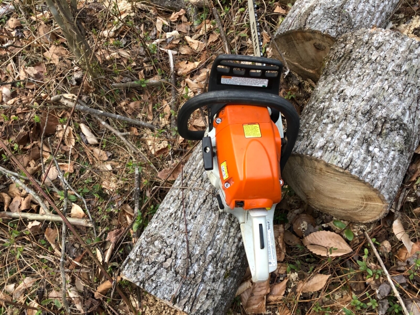 stihl ms251 chainsaw 18 in bar