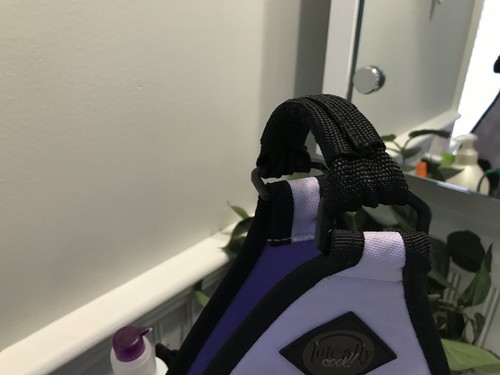 Tote-Ally Cool Tote On the Go Scrapbook Canvas Craft Tool Storage AMM Pink Bag