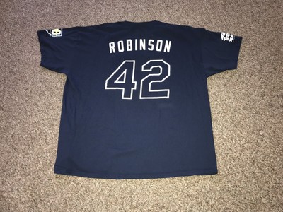 tampa bay rays 20th anniversary jersey