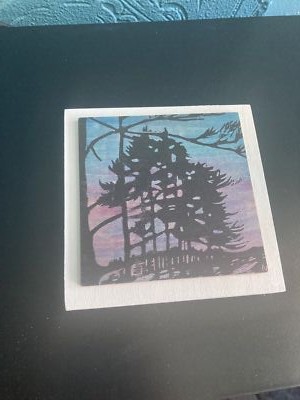 Fotos del artículo de un comprador verificado