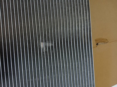 Fotos del artículo de un comprador verificado