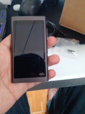 Sony NW-A55 black Walkman Digital Audio Player Hi-Res