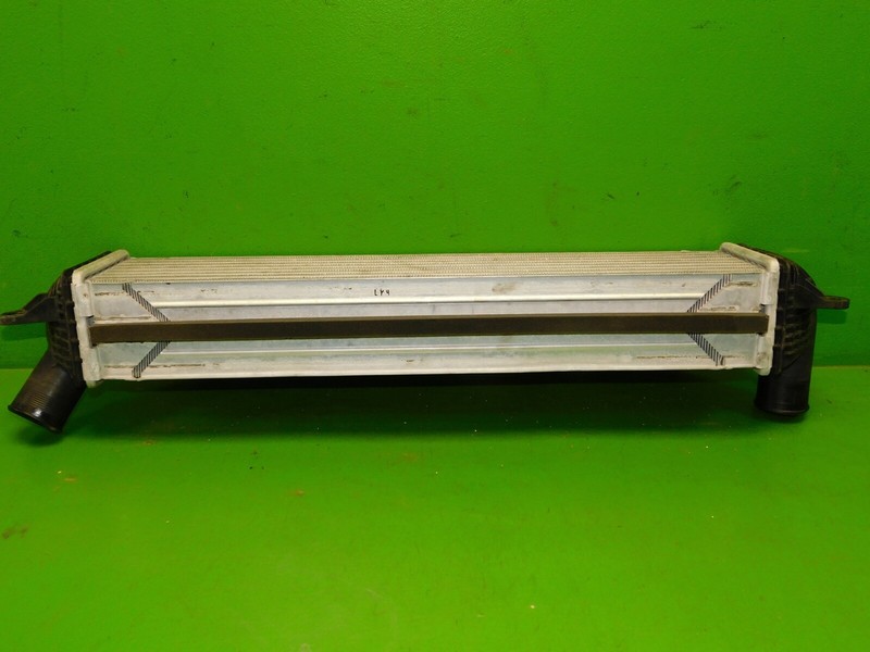 Picture 4