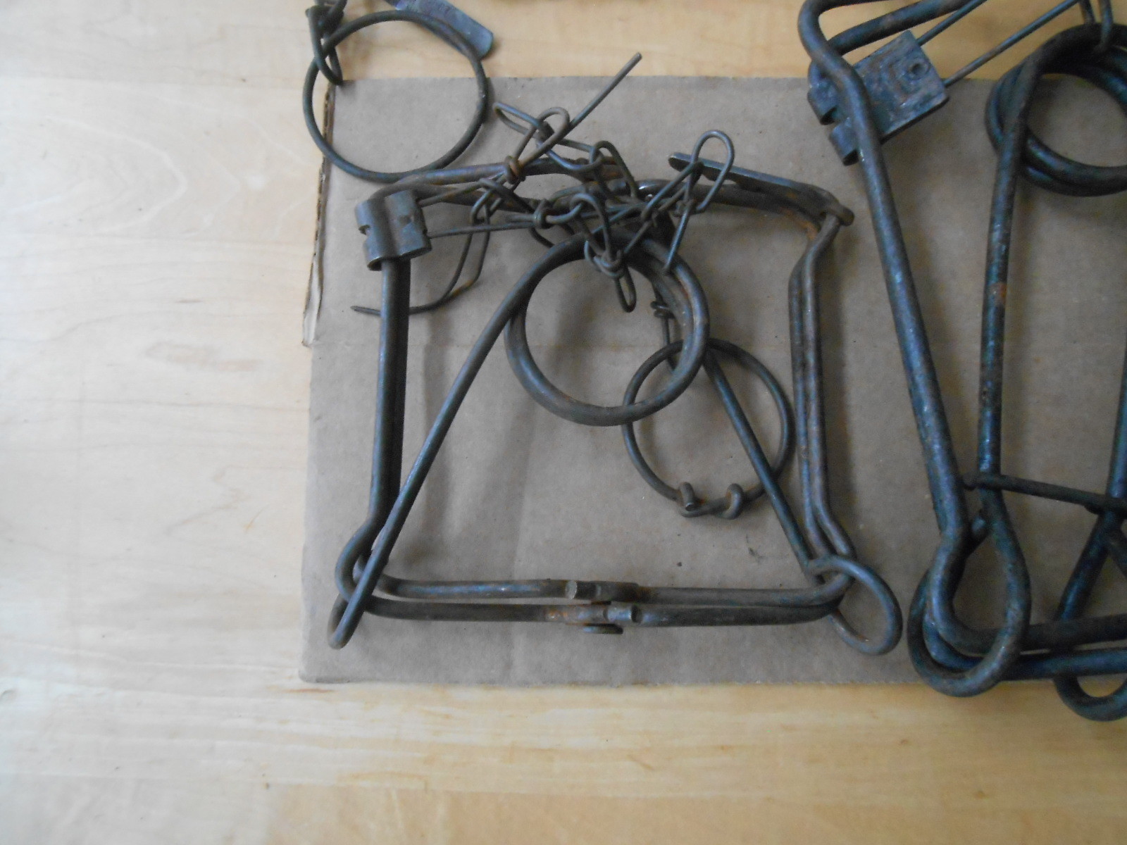 TWO CONBEARS TRAPS BODY TRAP 220 & 110 TRAPPING