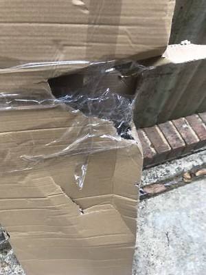 Item photo(s) from verified buyer