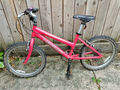 Ridgeback MX20 Kids Bike - pink