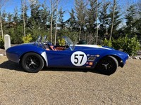 2018 Gardner Douglas Cobra