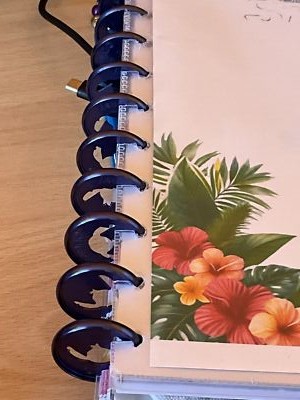 Foto dell'oggetto di un acquirente verificato