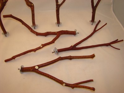Manzanita Bird Perches Set of SEVEN with hardware  Multibranch   Fine Set