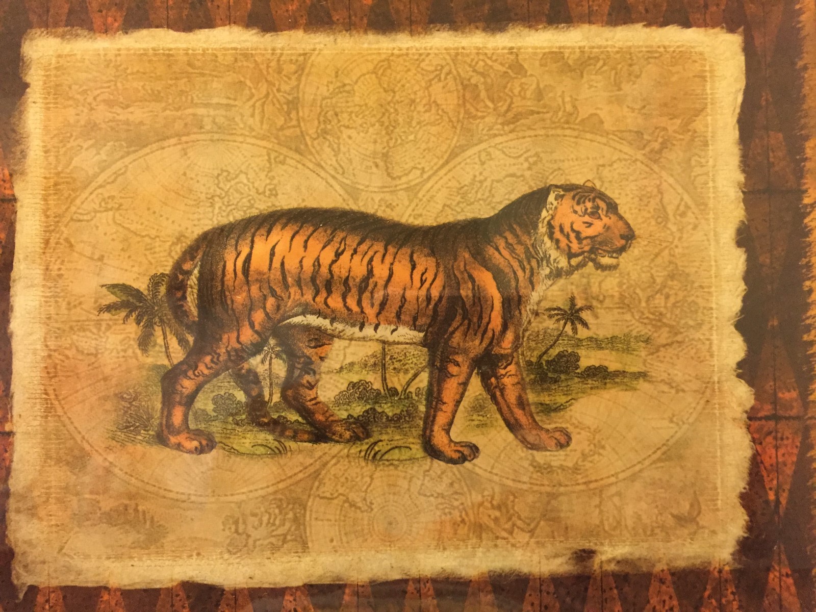 Tiger Safari Wall Art in a Gold Classique Mica Frame 10