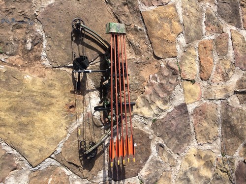 Alpine Ravage Compound Hunting Bow