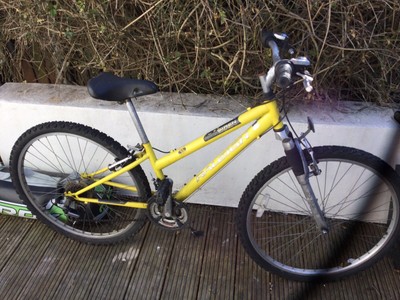 Raleigh Siren Girls Bike