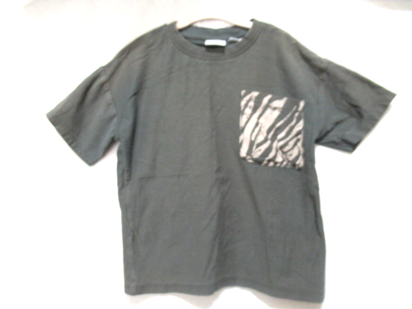 ZARD グッズ　トレーナー　完売品 Zara Kids Size 4-5 Gray Short Sleeve T-Shirt With Zebra