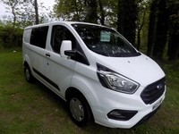 2022 Ford Transit Custom 2.0 EcoBlue 130ps Low Roof D/Cab Trend Van PANEL VAN Di