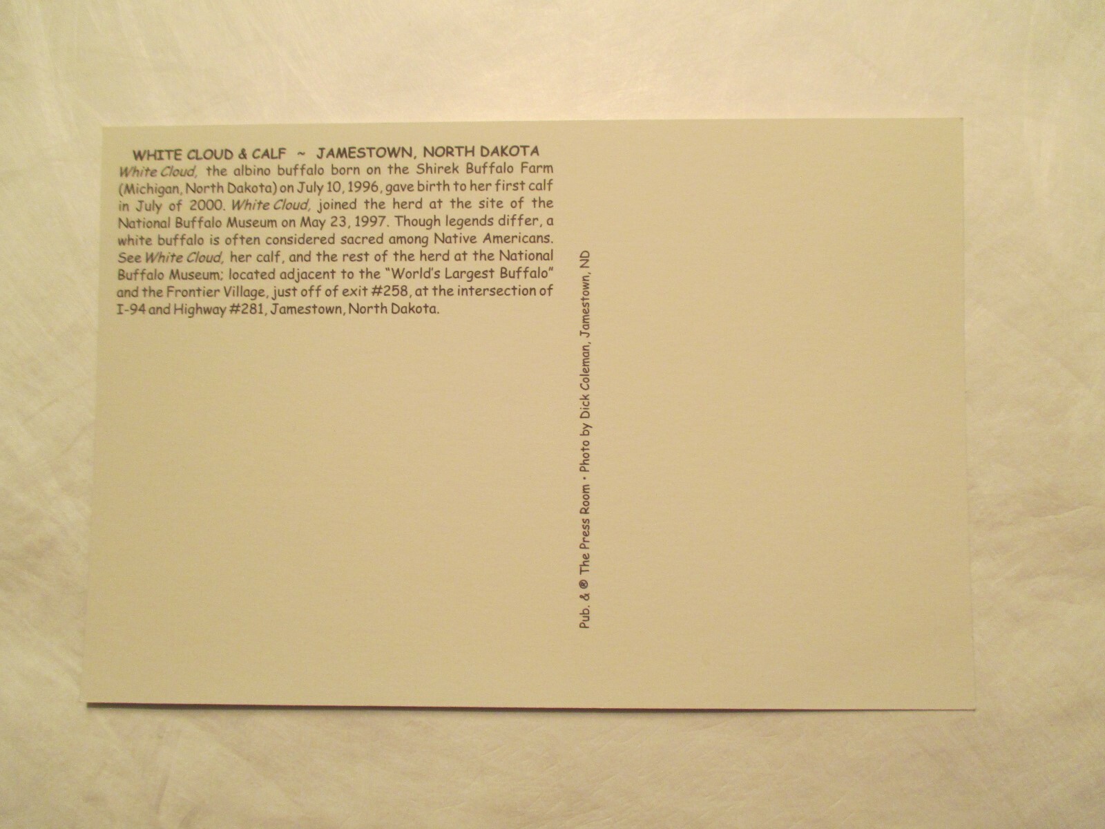 White Cloud Buffalo Museum Jamestown North Dakota ND Continental Sized Postcard