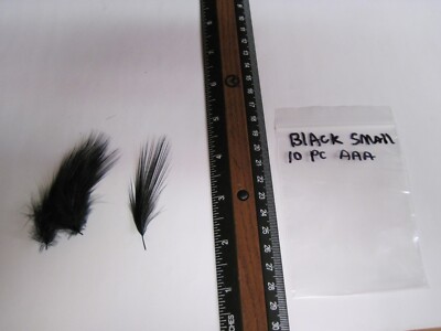 DIB 10 pc AAA Heron Feathers - Plumes 2 to 3 inches long Super Black.