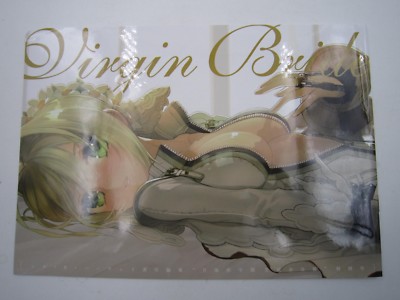 PSP Fate/Extra CCC Pre-Order Bonus Virgin Bride B5 Booklet Book Japan Type Moon