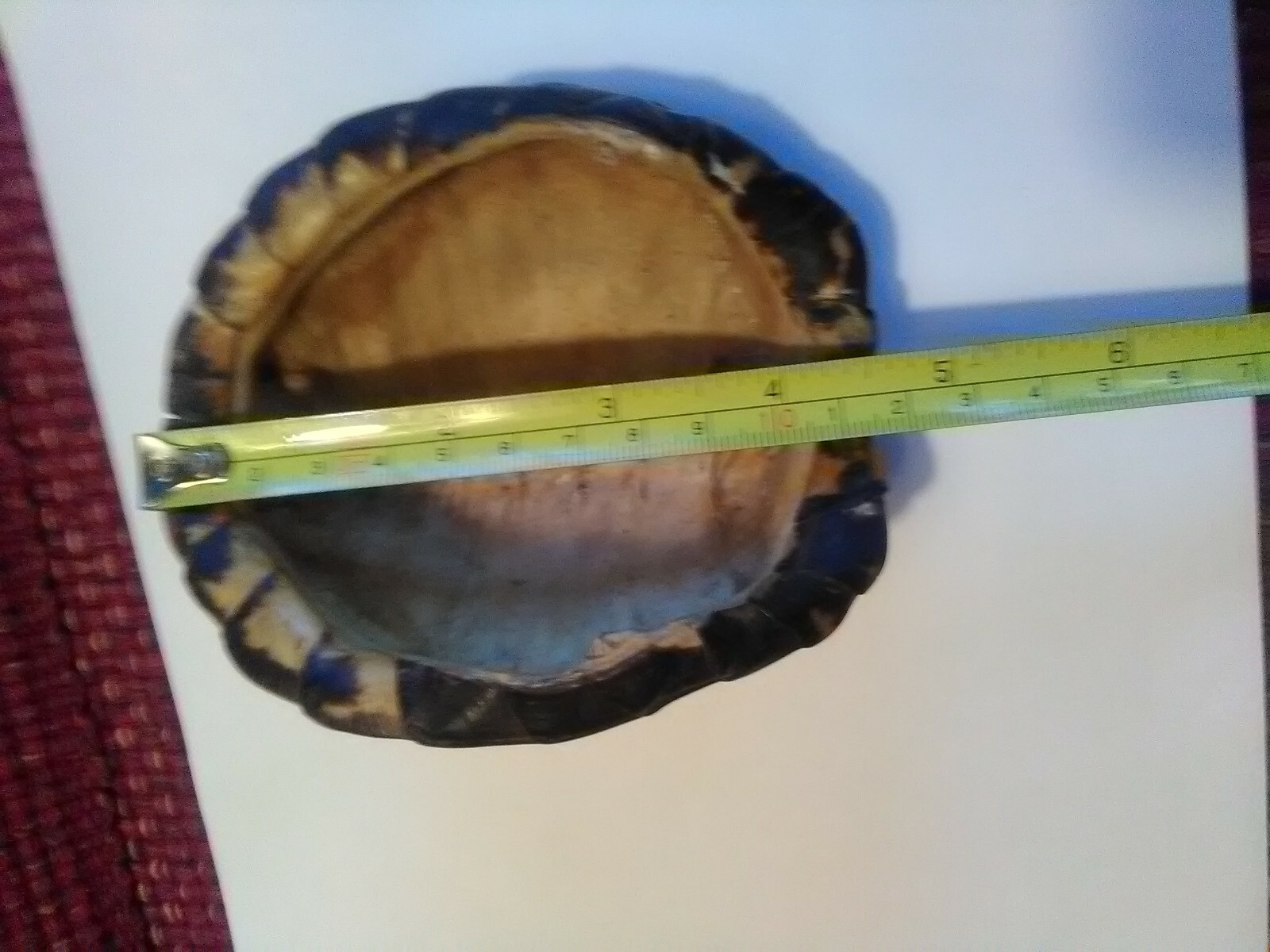 Eastern Box Turtle Shell with scutes 4.5