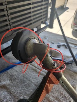 Artikelfoto(s) von einem verifizierten Käufer
