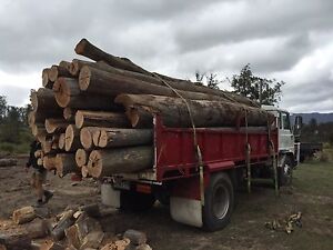 Www gumtree com au tasmania