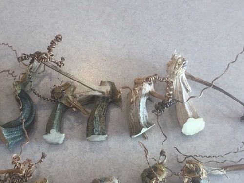 30 Excellent Quality Dried Pumpkin Stems - Crafts, Velvet 1-1/2