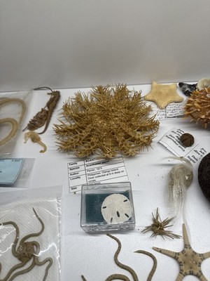 經驗證買家提供的物品圖片