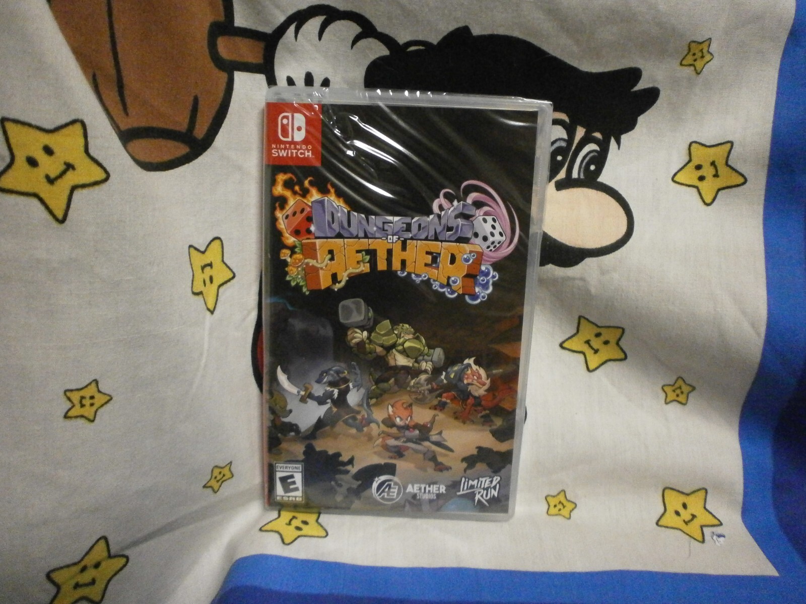 Nintendo Switch DUNGEONS OF AETHER Game BRAND NEW SEALED | eBay