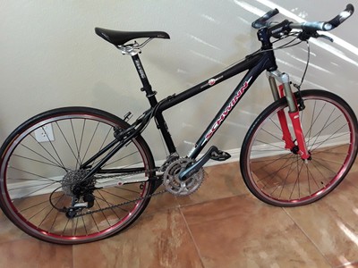 schwinn s10