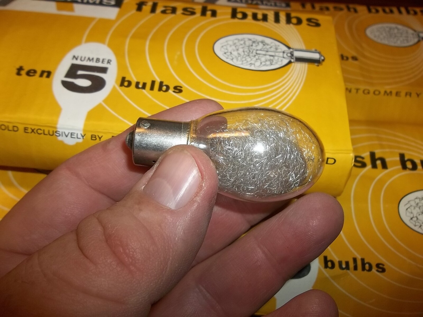 50 NEW/UNUSED Adams Number 5 Flashbulbs, Montgomery Ward