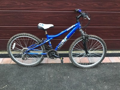 dawes boys mountain bike