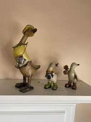 Fotos del artículo de un comprador verificado