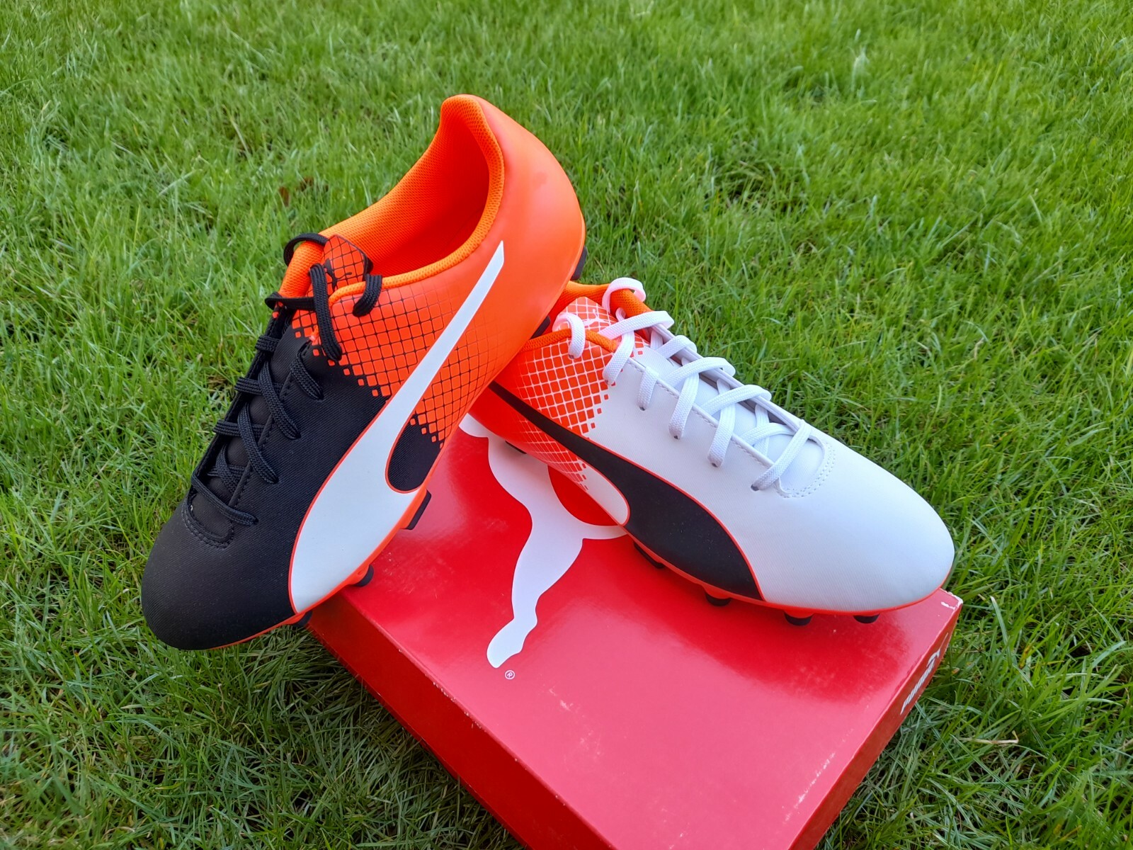 puma evospeed 5.5