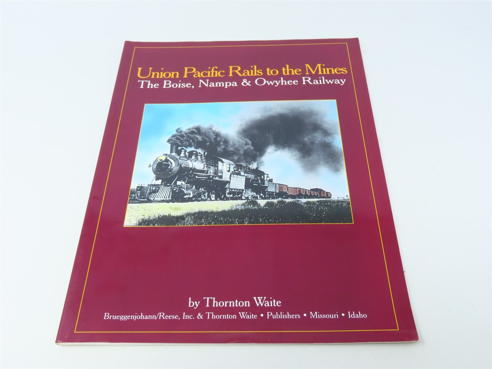 洋書 Spine,Spinal,Cord,And ANS Union Pacific Rails to the Mines by Thornton Waite ©1999 SC