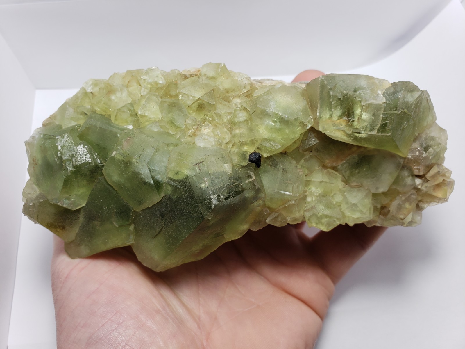 1306g NEW Find Green Fluorite Crystal Mineral GEM GRADE Specimen Ontario,Canada
