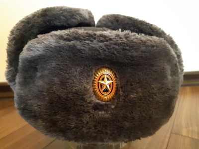 Russian Army Officer Winter HAT / USHANKA / Captured in Bucha