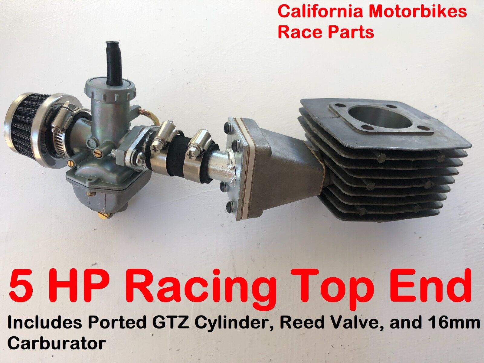 PORTED GTZ Reed Valve Top End Kit- 80cc 66cc Motorized Bike- High Performance