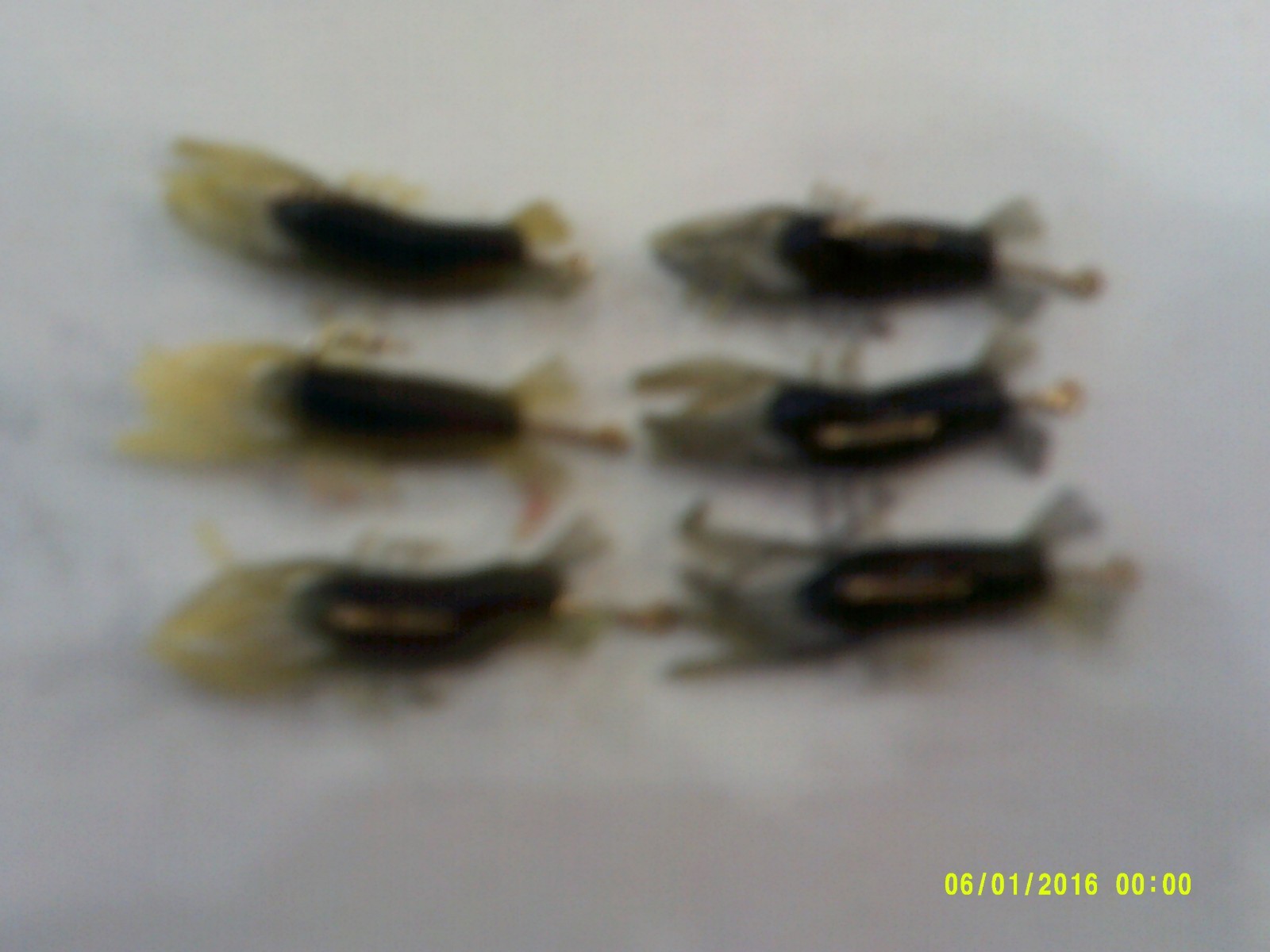 12 BABY CRAWDAD LEADERS FOR FISHING FOR PERCH & BLUEGILLS