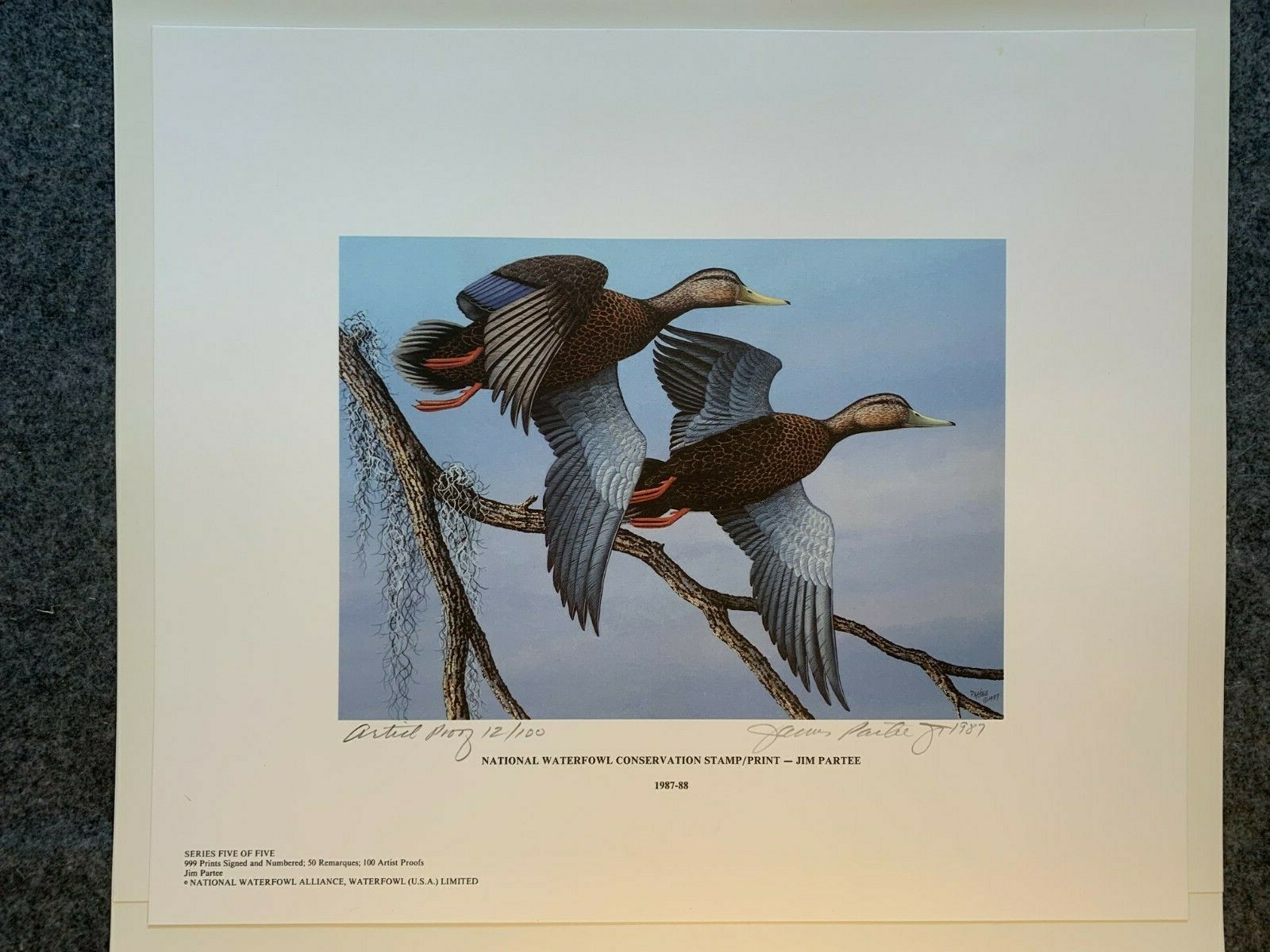 Jim Partee Artist Proof Lithograph Georgia Wildlife Habitat