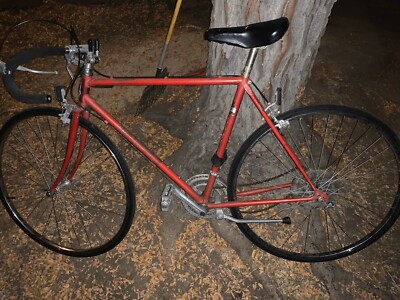 raleigh mens road bike