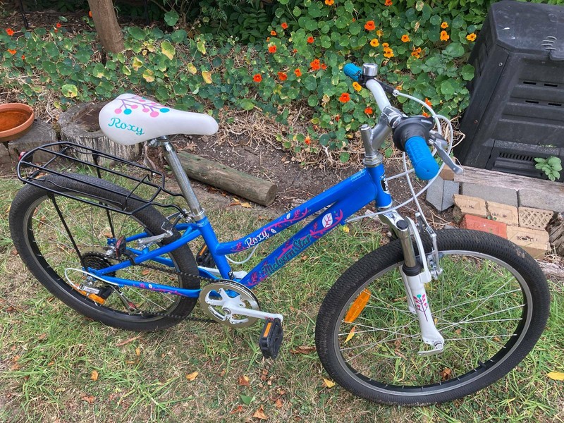 Malvern Star - Roxy 24 bicycle - like 