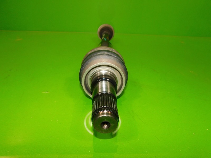 Picture 3
